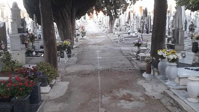 Castelvetrano. Disposto taglio alberi pericolosi del Cimitero