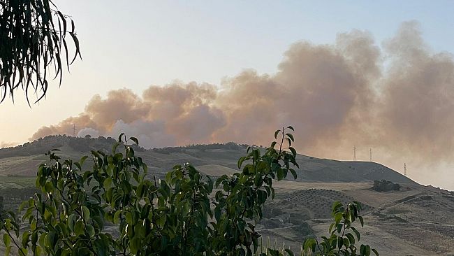 Bosco Scorace è di nuovo in fiamme