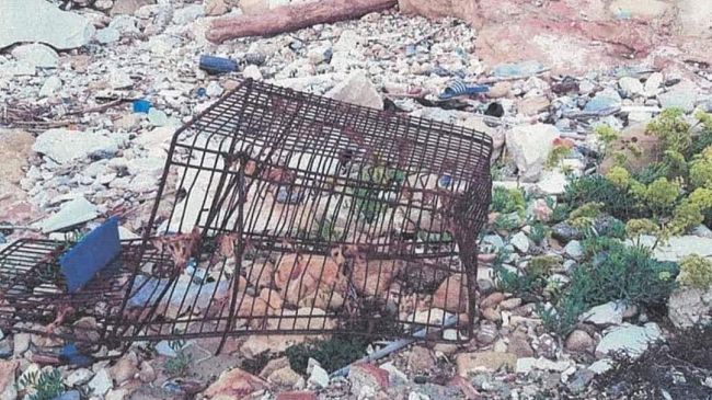 Il mare come bene comune, la segnalazione di un giovane