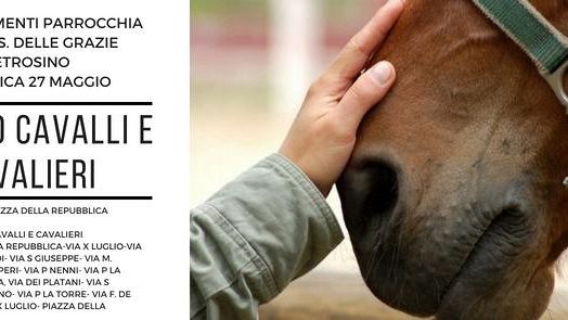 Petrosino, festa per Maria Ss. delle Grazie. Ecco gli appuntamenti del weekend