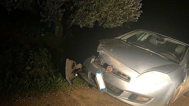 Cinghiali distruggono una vettura, ferito un infermiere castelvetranese. Chi Paga?