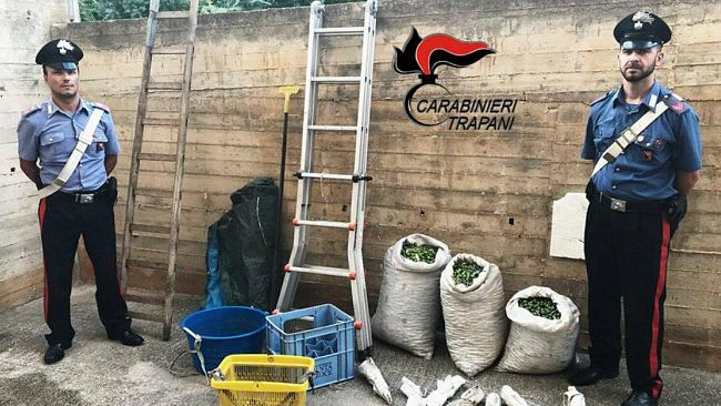 Mazara: intensificati i servizi 2 arresti e 10 denunce dei Carabinieri