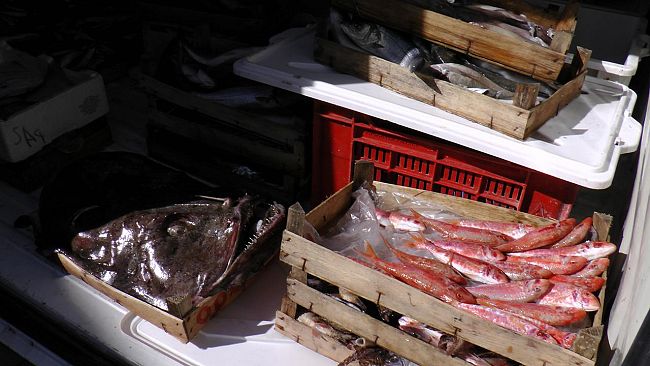 Trapani, maxi sequestro al mercato del pesce