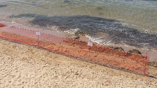 Rinvenuti due ordigni inesplosi  a Marinella di Selinunte