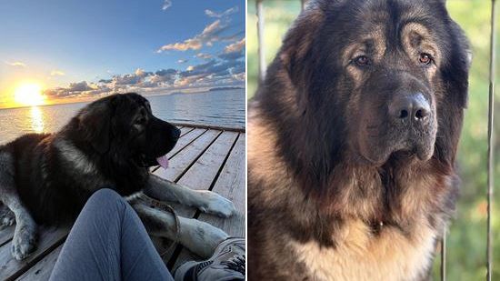 Marsala, Anatolij, il gigante buono ucciso dai botti: il racconto della tragica notte