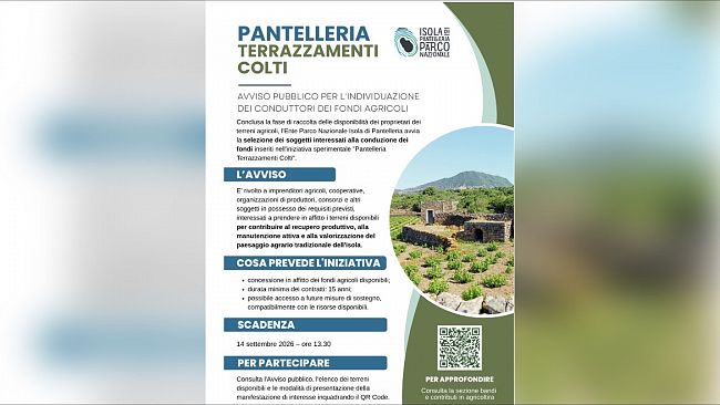 pantelleria-terrazzamenti-colti-avviso-pubblico-per-lindividuazione-dei-conduttori