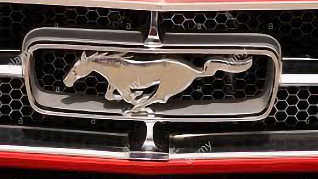 Ultime della sera: “Mustang”