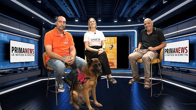 primanews-26-giugno-ospiti-laddestratore-salvatore-totino-pompei-con-il-cane-maya-e-la-veterinaria-anna-bologna