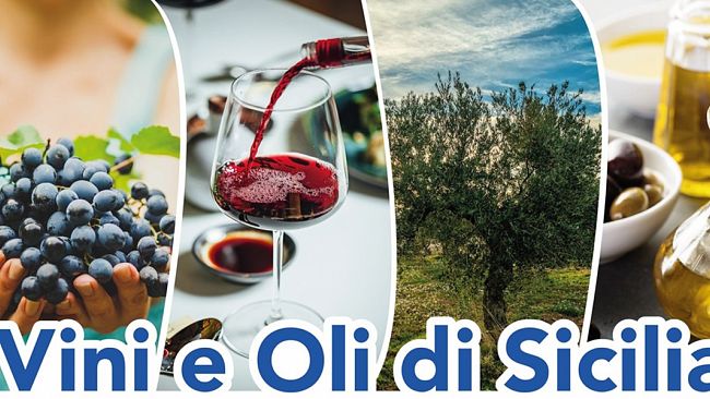 “Vini e Oli di Sicilia”, a Trapani AIS Sicilia promuove cultura e storia dei due simboli mediterranei