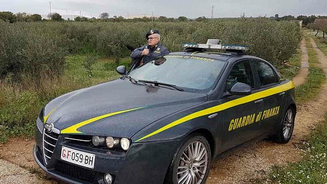 Tra Mazara e Castelvetrano Guardia di Finanza sanziona e denuncia per lavoro irregolare in agricoltura