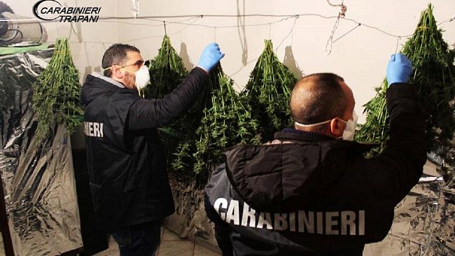 Coltivava marijuana in casa. Giovane arrestato dai Carabinieri.