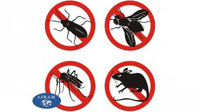 Si conclude il ciclo di disinfestazione: ultimo intervento il 16 settembre