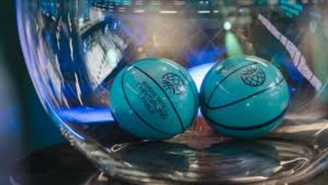 Shark in Europa: tutte le squadre del girone D 