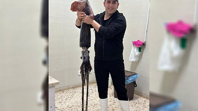 Pesca record a San Vito Lo Capo, catturato maxi totano