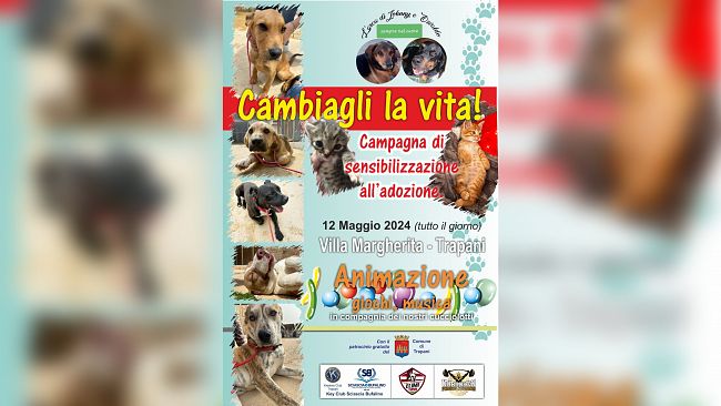 Trapani, domani iniziativa animalista alla Villa Margherita