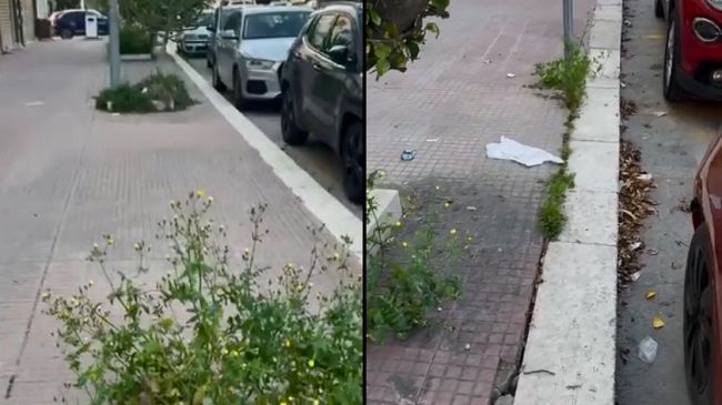 Trapani. Sporcizia e incuria in piazza Ciaccio Montalto