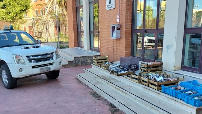 Trapani: sequestrati dalla Guardia Costiera prodotti ittici senza tracciabilità