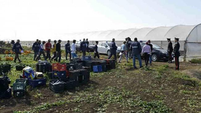 Mazara e Marsala, sfruttamento di manodopera, lavoro nero e caporalato nelle aziende vitivinicole