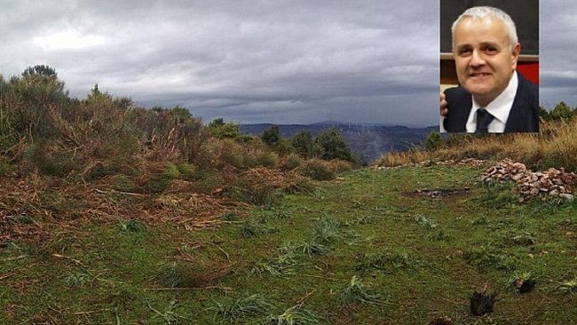 Antonio David: “Tempi maturi per la riforma del comparto Forestale, anzi già stagionati”