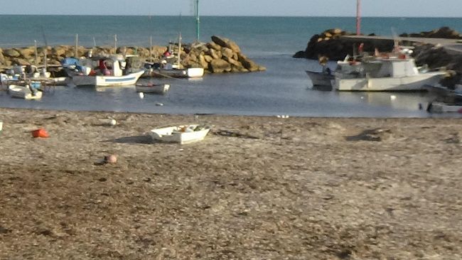Marinella di Selinunte:  secondo la Manzini “questo porto non s’ha da fare”