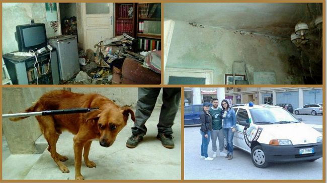 Marsala, le guardie per l’ambiente salvano un cane da una casa lager
