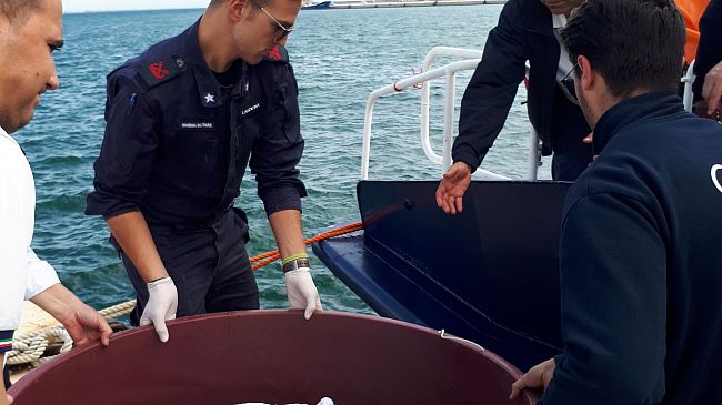 La Guardia Costiera di Marsala soccorre un esemplare di Caretta Caretta in difficoltà grazie alla collaborazione di un diportista.