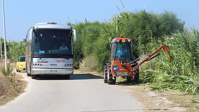 Avviato il taglio dei canneti sulla litoranea dello Stagnone  il Sindaco Alberto Di Girolamo: ci sostituiamo al Libero Consorzio  per mettere in sicurezza questa zona fra le più belle al mondo