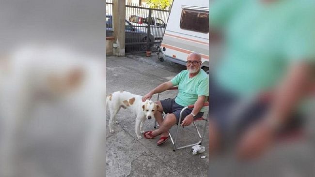 Luigi, il randagio simpatico. Storia di un cane (e di umani che mordono)