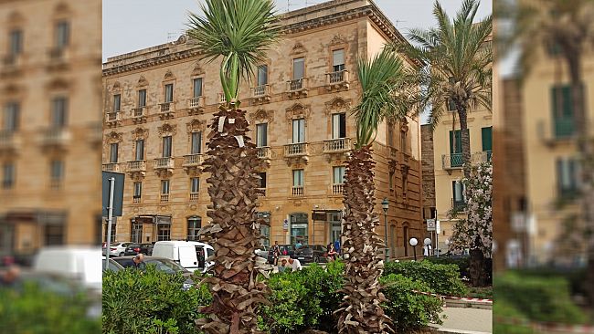 Trapani, sette nuove palme in Piazza Garibaldi
