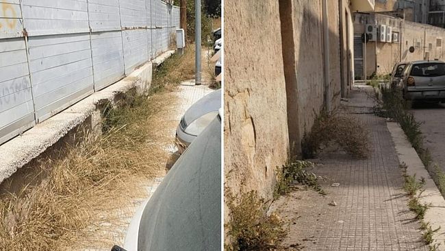 Mazara, Alta selvaggia vegetazione e degrado nelle vie Tranquillina e Beccaria