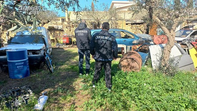 Mazara, attesta falsamente la demolizione di un mezzo. Denunciata una persona
