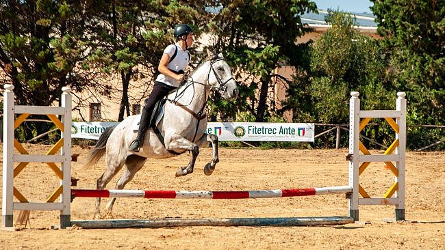 Nasce la Segesta Horse Cup 2026: a Buseto Palizzolo la finale del Campionato Regionale Fitetrec-Ante