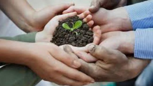 Ultime della sera: “Infanzia violata”