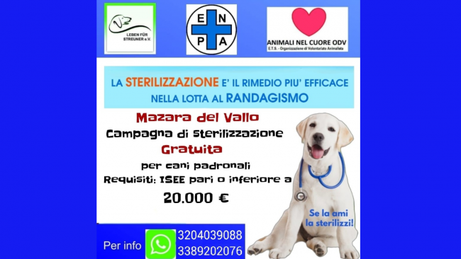 Mazara, al via la campagna di sterilizzazione gratuita per cani padronali 
