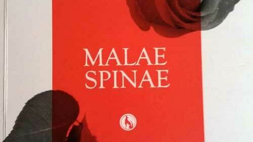 Mazara, “Malae Spinae”, Presentazione del libro di Maria Letizia Balsamo e Daniele Catalano