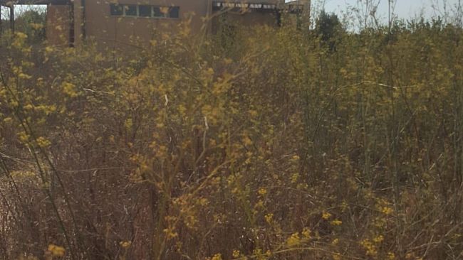 Vivere Campobello: “Il colpo di genio dell’Amministrazione Comunale sui beni confiscati”