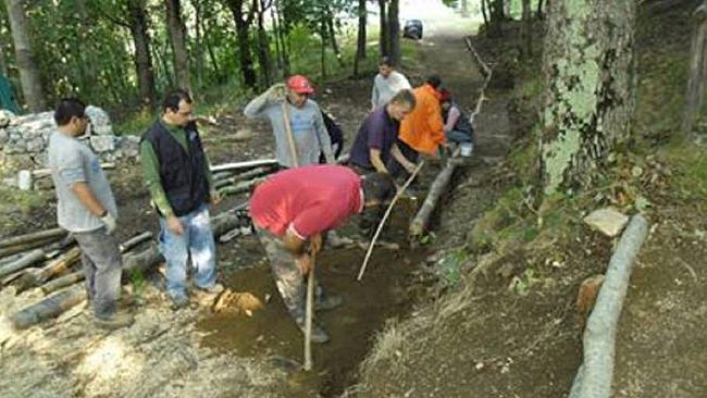 Stabilizzazione, termine che accomuna i lavoratori Forestali del Sud