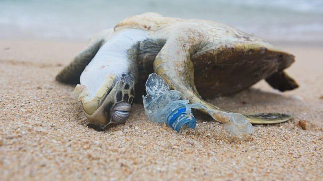 Ultime della sera, “La plastica negli oceani: un problema irreversibile?”