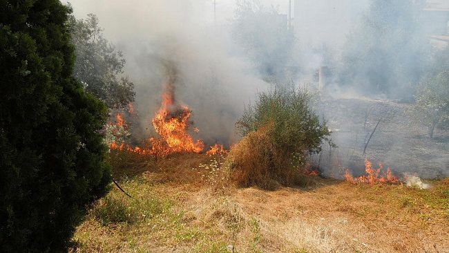 Castelvetrano, Emanata l’ordinanza sindacale sulle misure di prevenzione contro gli incendi