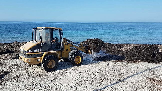 Mazara, spiaggia di San Vito, avviati i lavori per rimuovere le alghe accumulate con il maestrale