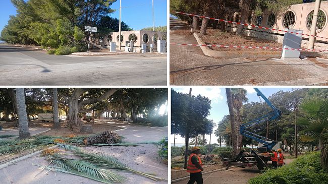 Tromba d’aria a Mazara, danni al verde pubblico: scattano gli interventi di messa in sicurezza