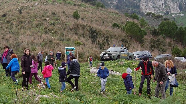 Trapani. Si è concluso domenica, con l’ultimo appuntamento, la settimana dedicata alla festa dell’Albero 2024