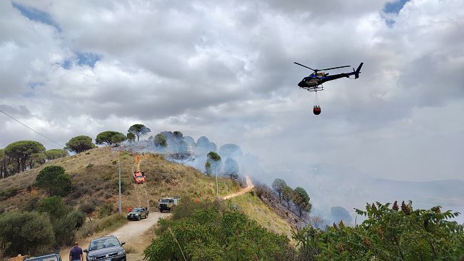 belice/calatafimi-segesta-incendio-in-cda-pantano-nota-del-sindaco-gruppuso