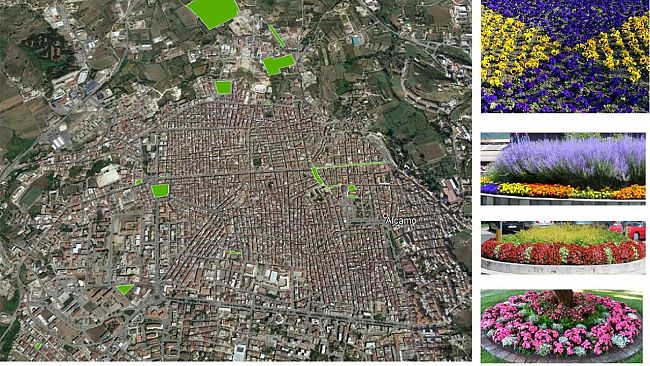 Alcamo: ha preso il via la manutenzione straordinaria del verde pubblico
