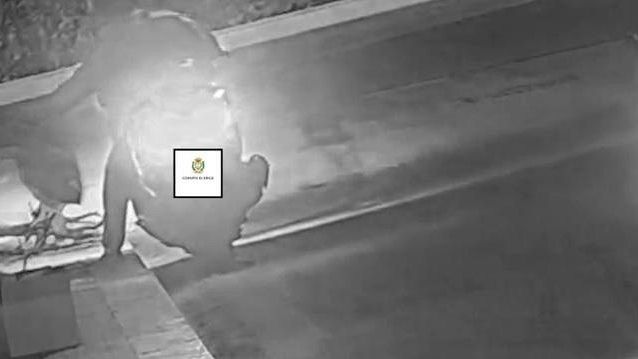 Erice, abbandono di rifiuti: sanzionate 30 persone tramite le fototrappole