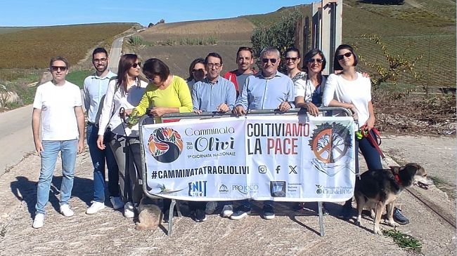 Buseto Palizzolo, oggi “camminata tra gli olivi” nel segno della pace