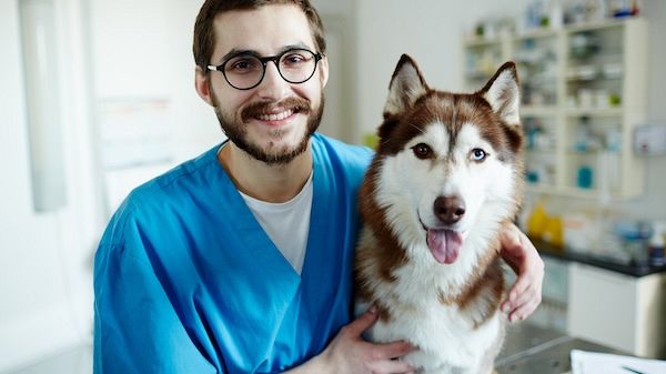 ​Sanità: A Siracusa celebrata la Giornata della prevenzione veterinaria 
