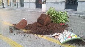 Rotti tre vasi in corso Umberto I. Cristaldi: “disgustato da questa ennesima azione di vandalismo”