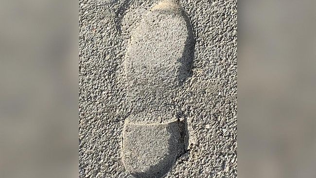 Ultime della sera. Il Viaggio