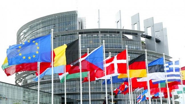 Insetti a tavola: l'Ue dà il via libera alla farina di larve